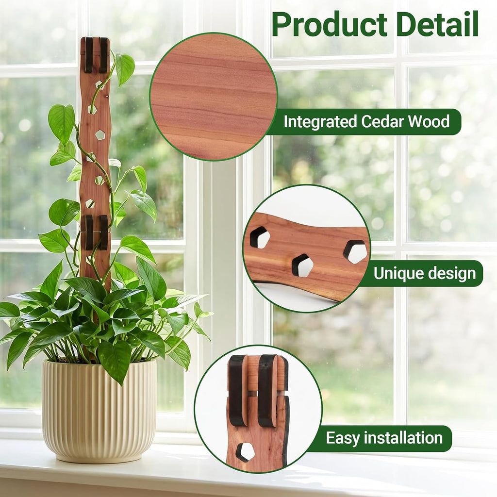 2 Sets Wooden Extendable Plant Trellis Indoor Climbing Houseplants, 2-in-1 Expandable Plants Support, Moss Pole