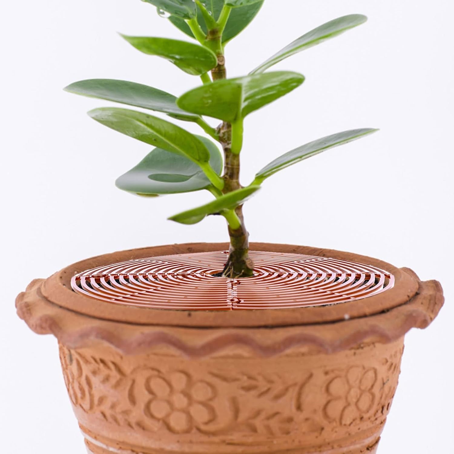6 Pcs Plant Pot Grid Soil Protector Covers Cuttable Flower Cover for Plant | 11.8''/20.8'' Plastic Plant Pot Cover with