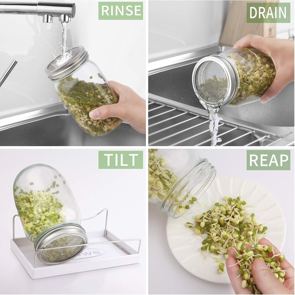 Sprouting Jar Kit-2 Wide Mouth Quart Mason Jars with 316 Stainless Steel Screen Sprout Lids,Melamine Tray,Stand and