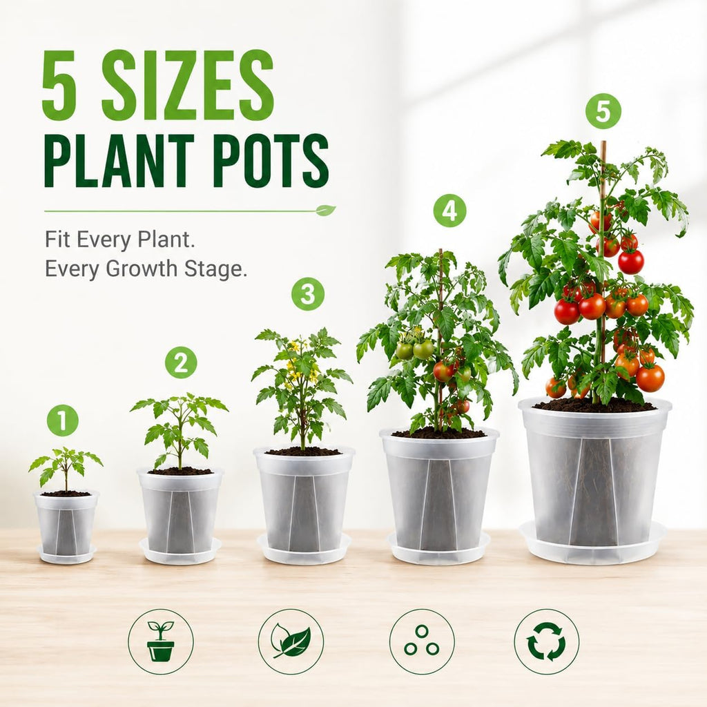 GREENPARA Clear Plant Nursery Pots with Saucer for Indoor & Outdoor Plants | 4/5/6/7/8 Inch Drainage Holes Root