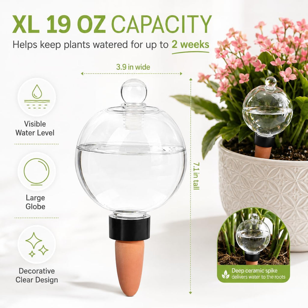 19 oz Large Self Watering Globes for Plants, Top Fill, 4 Pack | Clear 19 oz reservoir with porous terracotta spike for