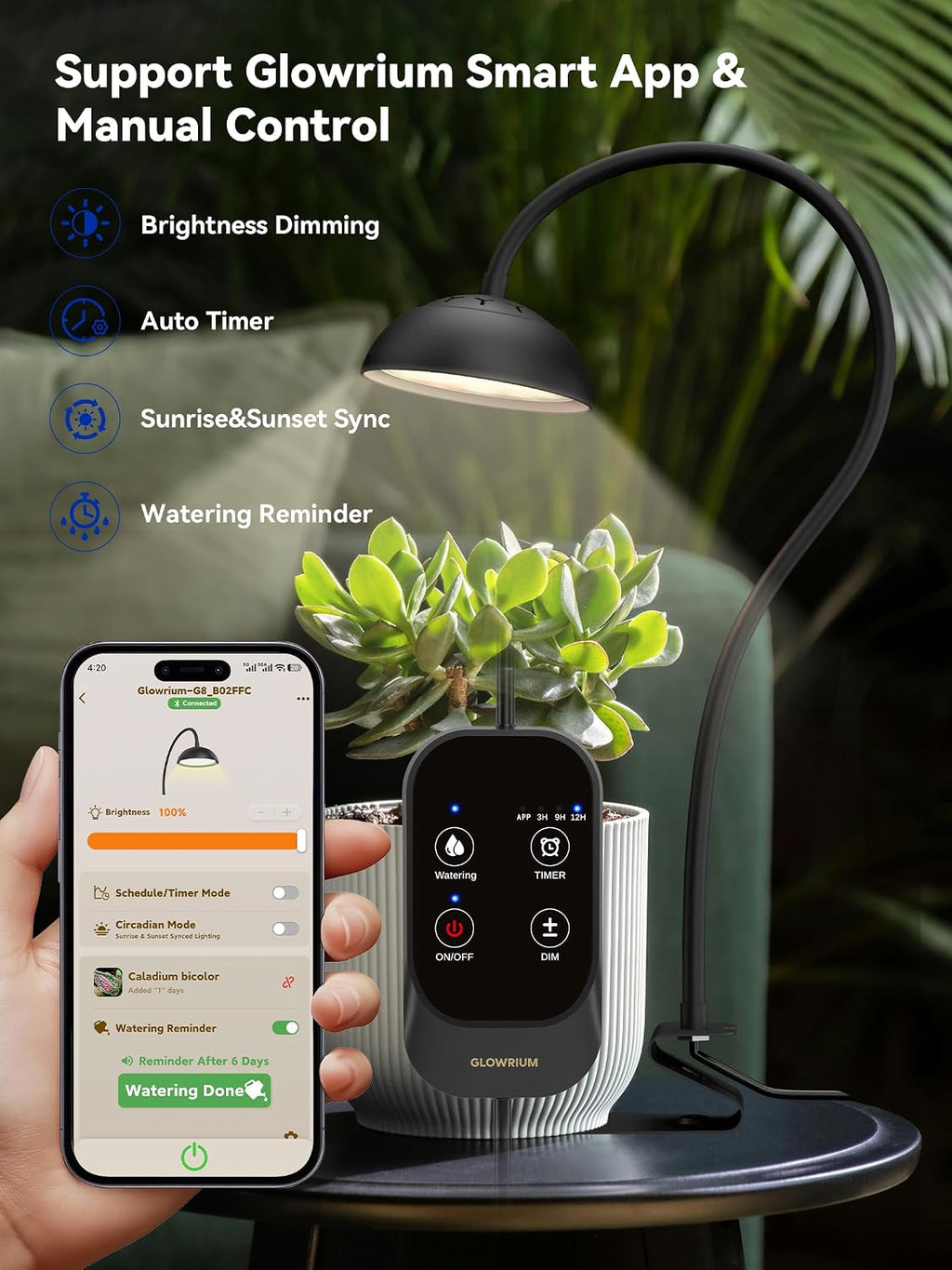 Smart Grow Lights for Indoor Plants,Full Spectrum Desk Plant Light | 10W Plant Lights with Bluetooth App Control