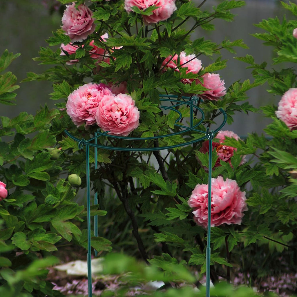 2Set Metal Peony Grid Cages, 30"H X 13"D Large Flower Support Cages Grow Through Hoop Ring Peony Stakes Garden Plant