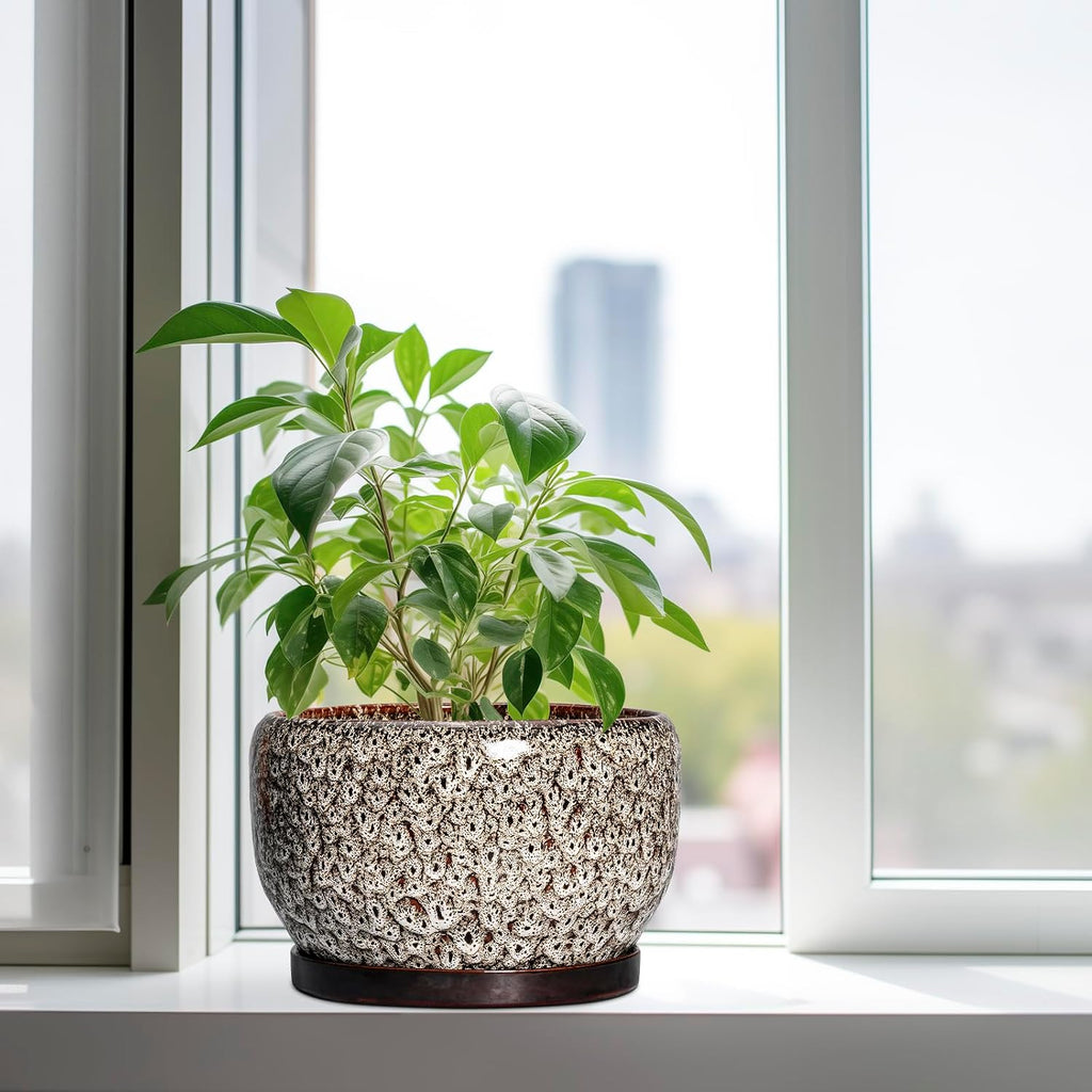 SQOWL Ceramic Plant Pots - 10 Inch Planter for Indoor Plants Outdoor, Large Flower Pots with Drainage Hole and Saucer