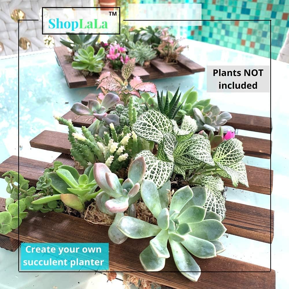 ShopLaLa Wall Planter - 2 Pack Wooden Hanging Succulent Wall Decor, Live Air Plants Orchids Wall Mounted Holder Frame