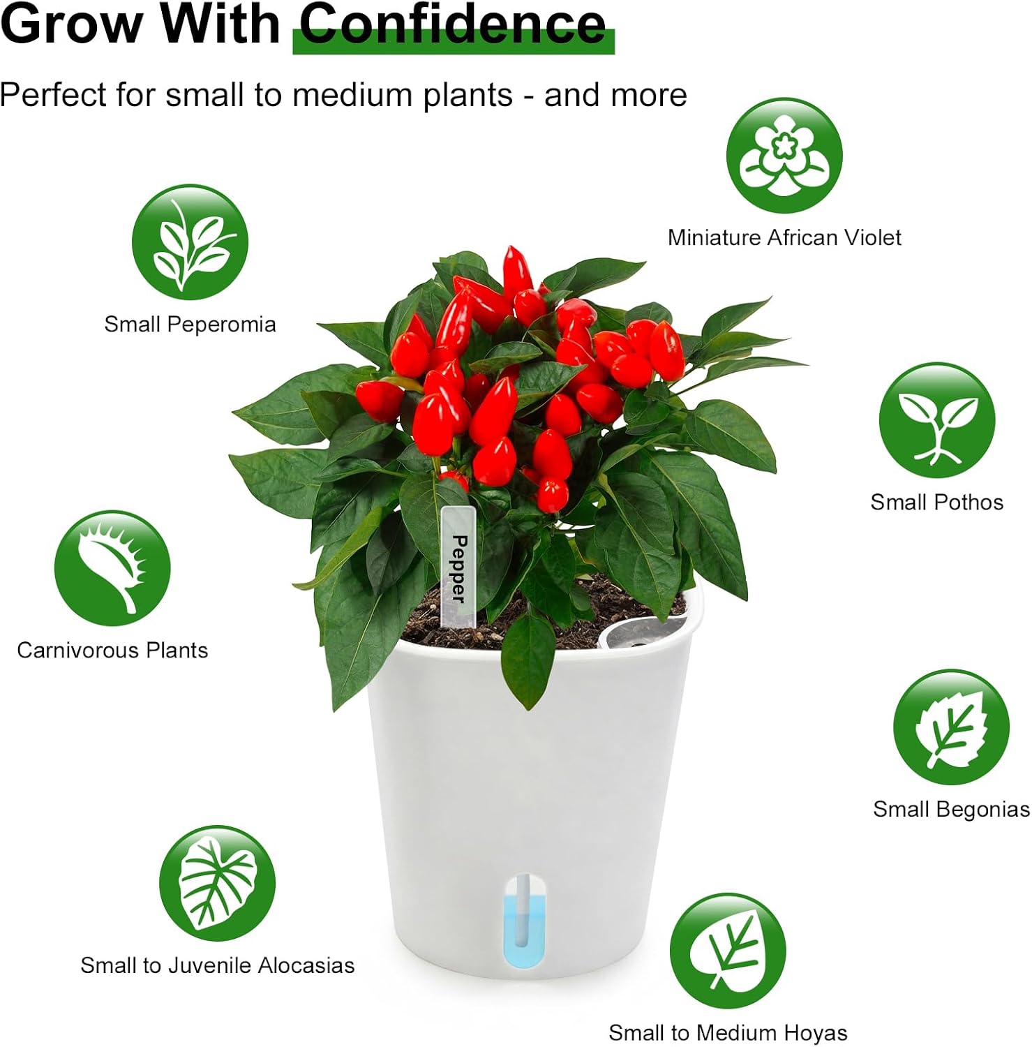 4" Self Watering Pots for Indoor Plants, 8 Pack Clear Plant Pots with Drainage, Plastic Nursery pots for Cuttings