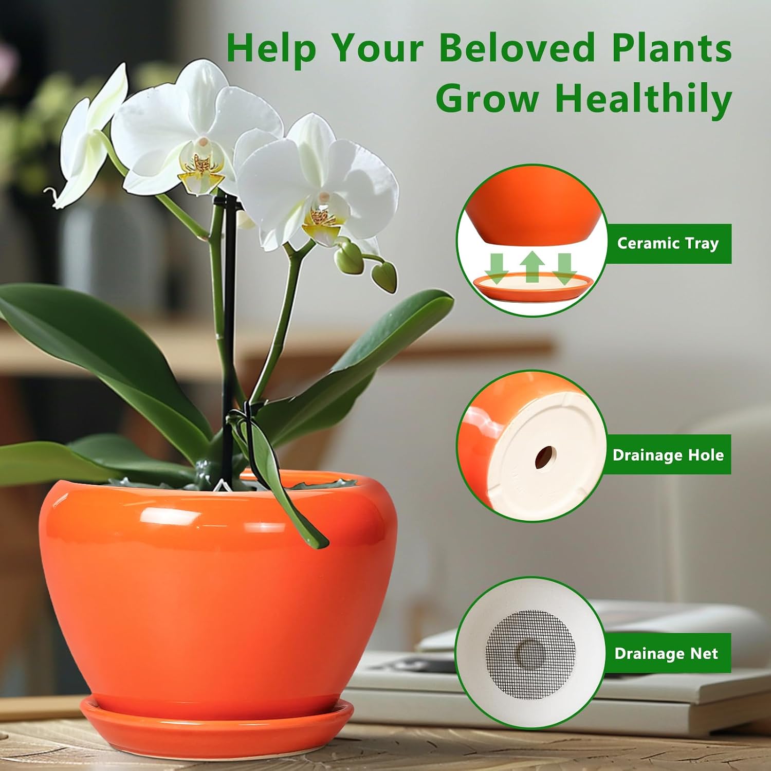 Ceramicfor Ceramic Plant Pot 6 Inch - Ceramic Planter for Indoor Plants Outdoor, Glaze Round Modern Flower Pot with