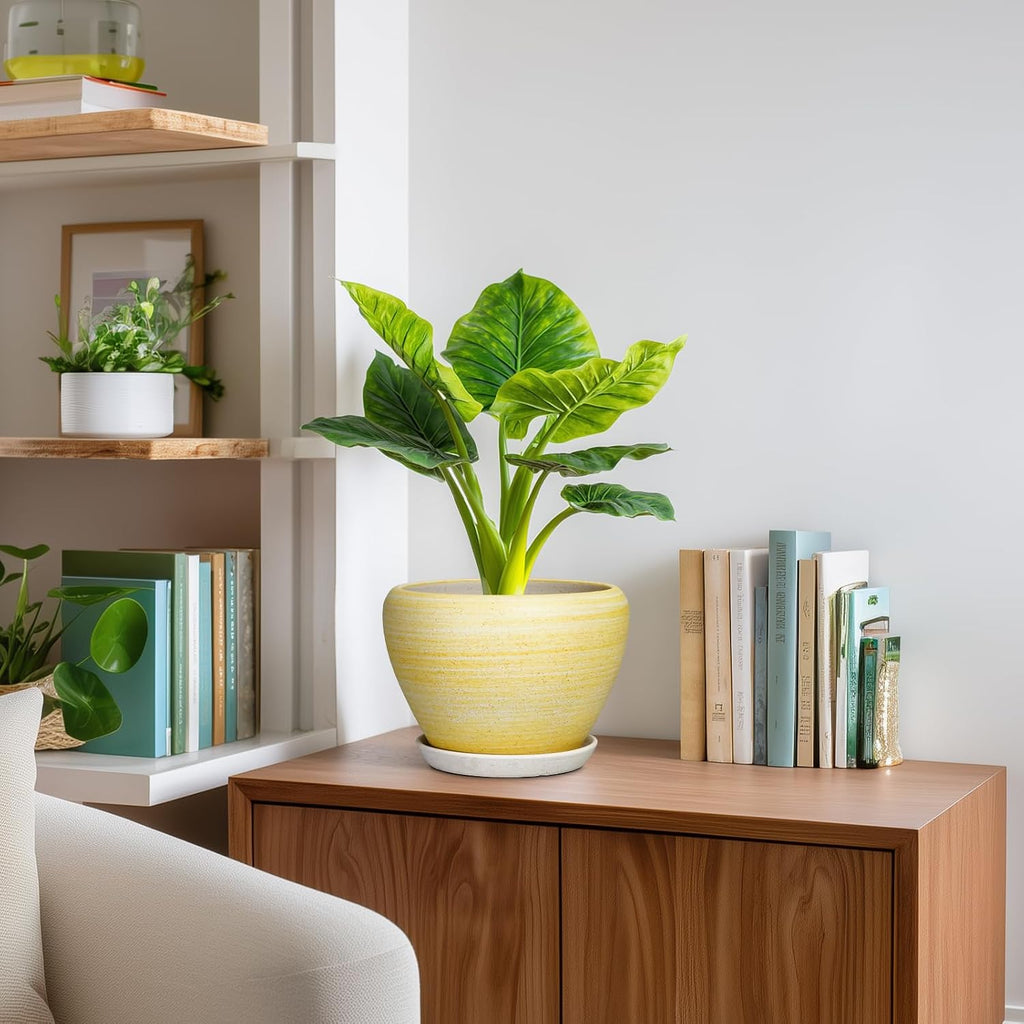 Ceramic Plant Pots - 8 Inch Planter with Drainage Hole and Tray, Decorative Pots for Plants Indoor Outdoor, Round