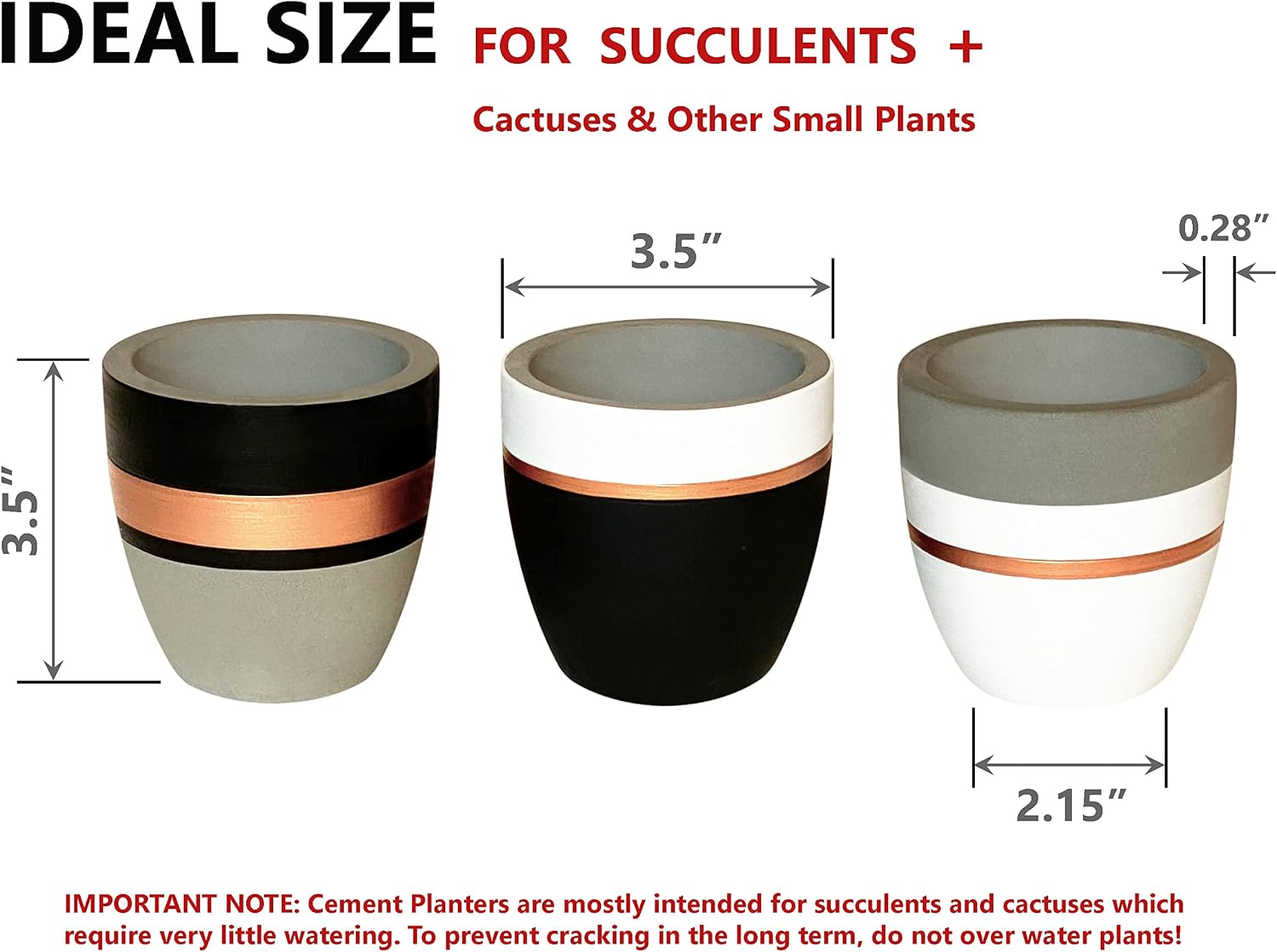 PASENITY Hand Painted Indoor Plant Pots, Set of 3 Modern Cement Succulent Pots with Drainage, Best Planters for Cactus