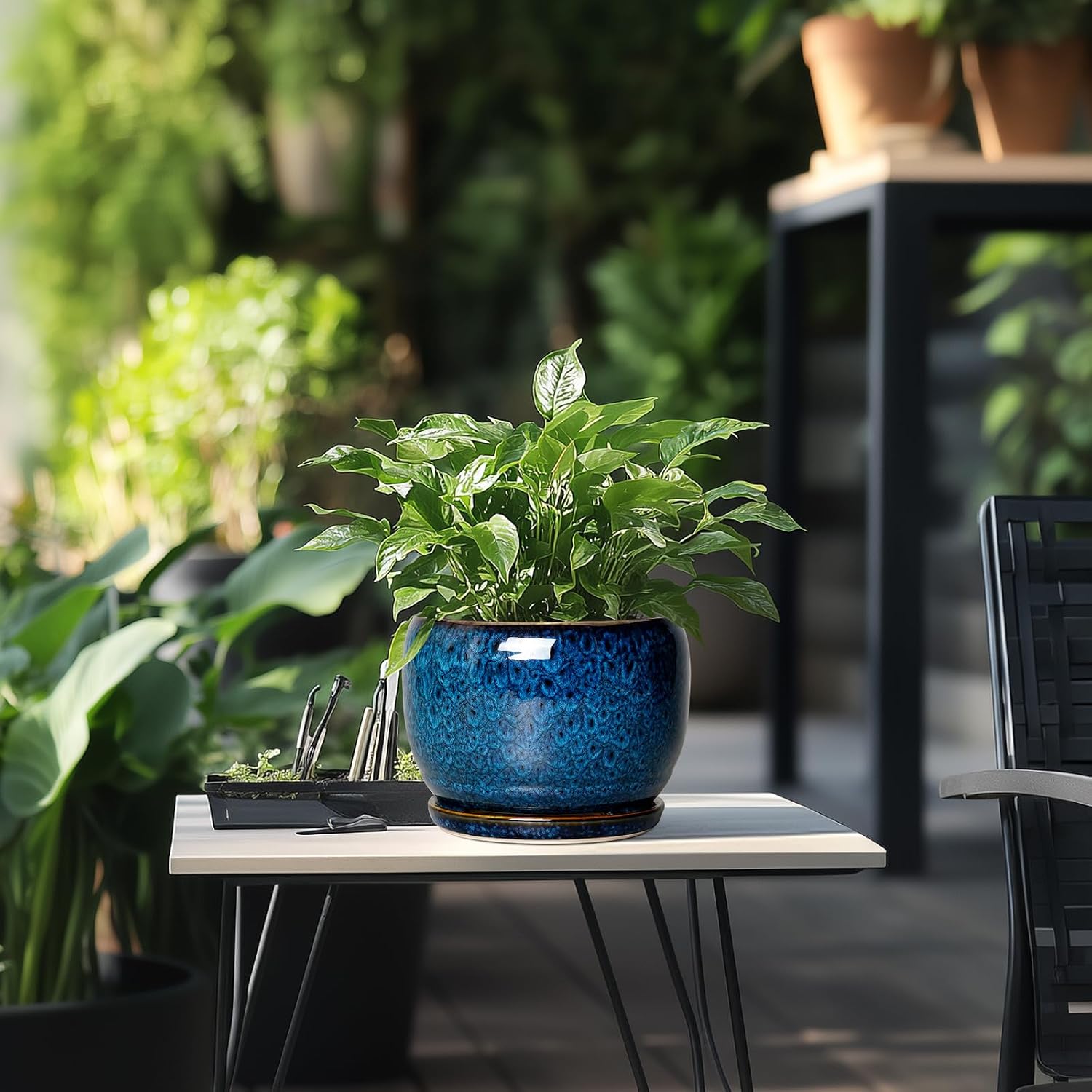 SQOWL Ceramic Planter 8 Inch - Pot for Indoor Outdoor Plants Round Ceramic Plant Pot with Drainage Hole and Saucer
