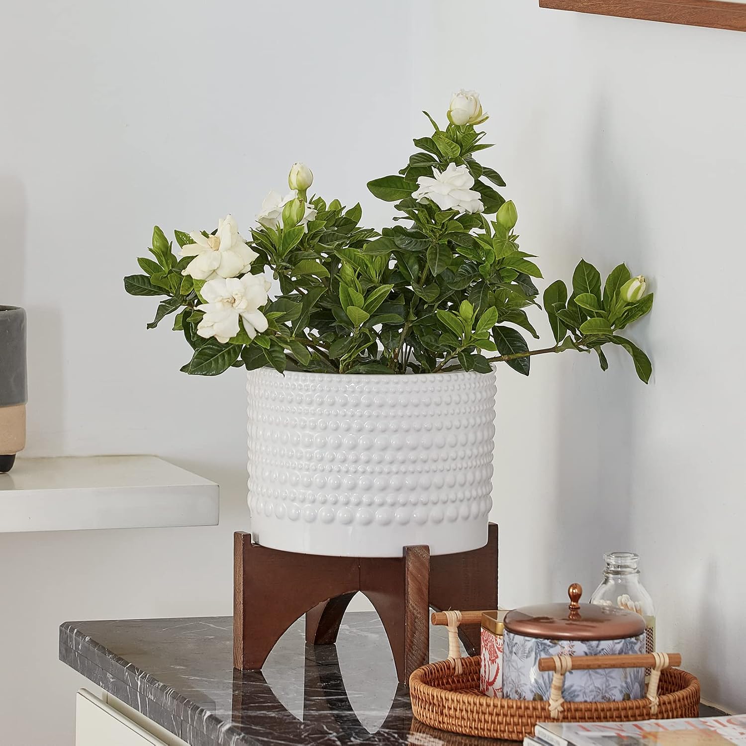 LA Jolie Muse Ceramic Pot for Plants, 8 Inch Indoor Planter with Stand | Hobnail Patterned Flower Pot with Wood Stand