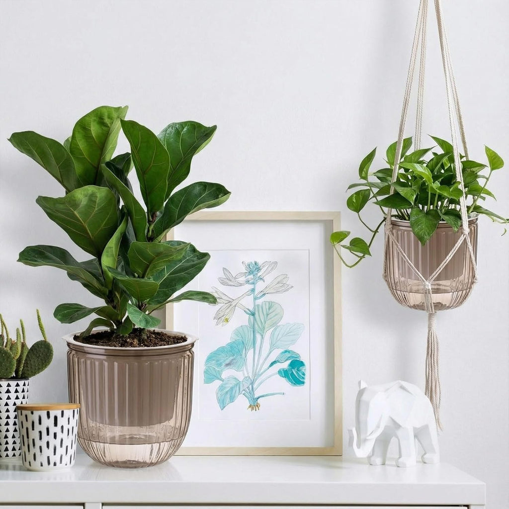Hanging Planter Set of 6 Self Watering Indoor Flower Pots with Water Level Indicator Modern Plant Hangers for Indoor