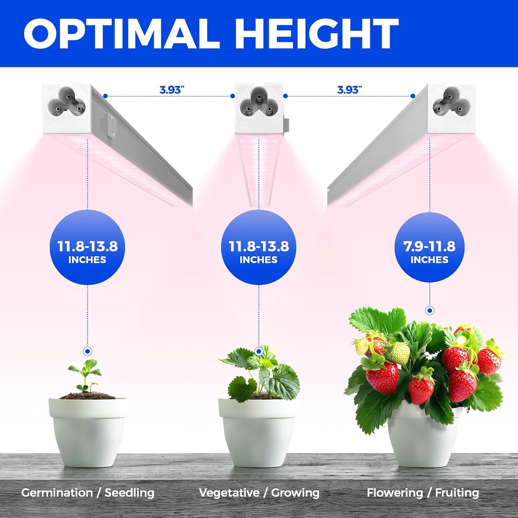 Barrina Grow Light for Indoor Plant, T5 1FT Full Spectrum Sunlight, 4 Packs | Pinkish White Grow Lamp, Linkable LED