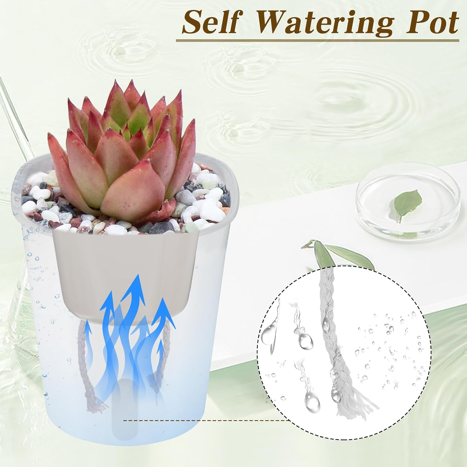 4 Inch Self Watering Pots for Indoor Plants,10 Sets Self Watering Planter Pots with Visual Water Level Window and