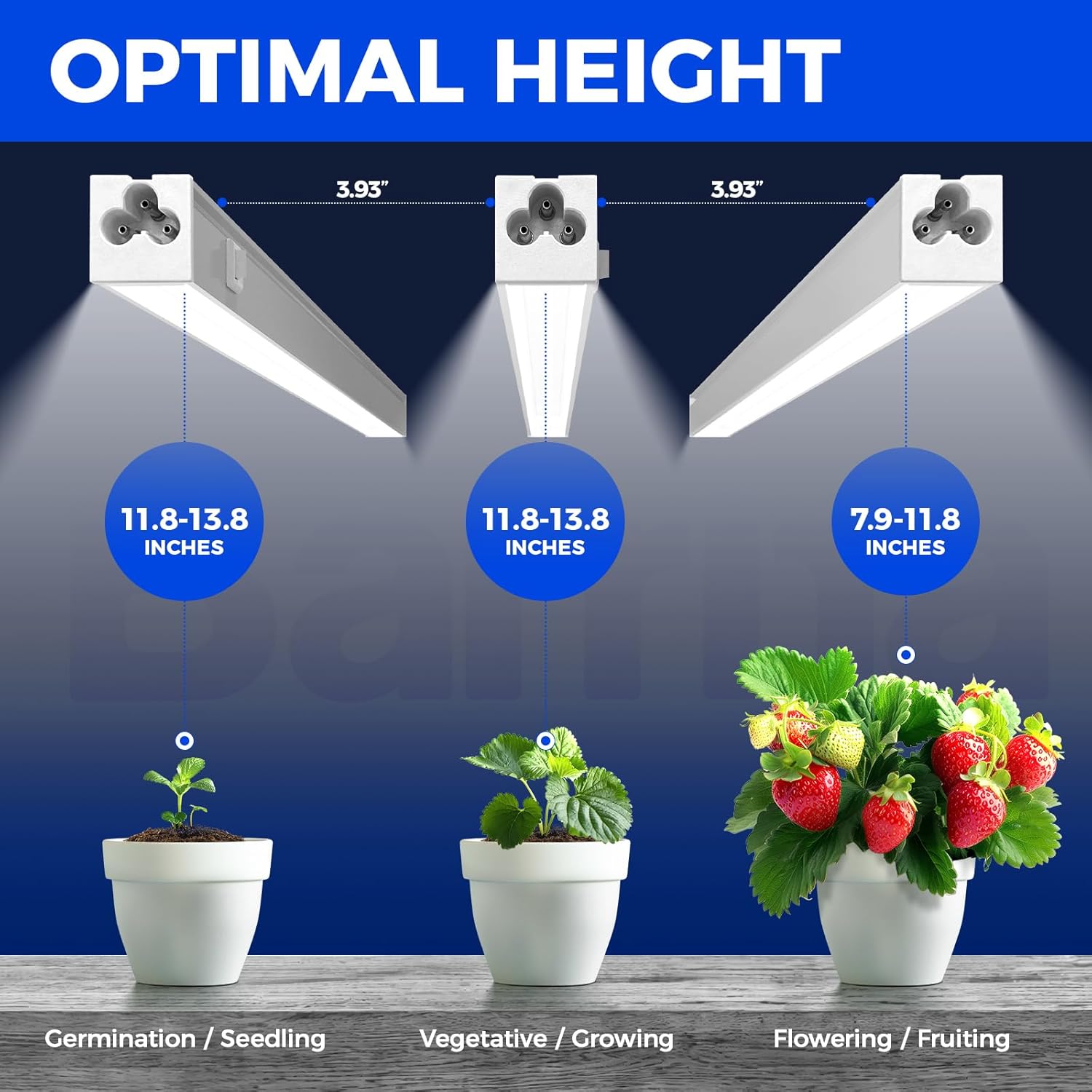 Barrina T5 Grow Lights for Indoor Plants, 5000K Full Spectrum, 1FT, 4 Packs | 1FT LED Growing Lamp, Plant Light Strip