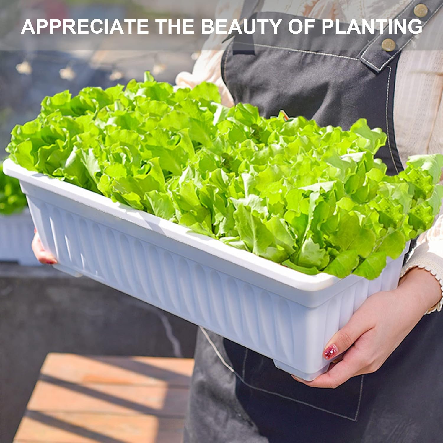 Window Box Planter, 6 Pcs 17" Flower Rectangle Planter Boxes Outdoor, White | with Spray Bottle, Garden Tool Kit