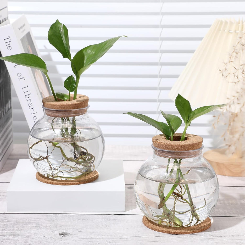 12 Packs Propagation Vases for Plants Plastic Plant Propagation Station with Hole Lid and Cork Coasters Plant Growing