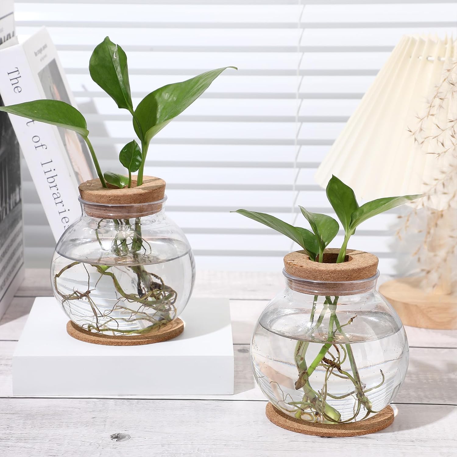 12 Packs Propagation Vases for Plants Plastic Plant Propagation Station with Hole Lid and Cork Coasters Plant Growing