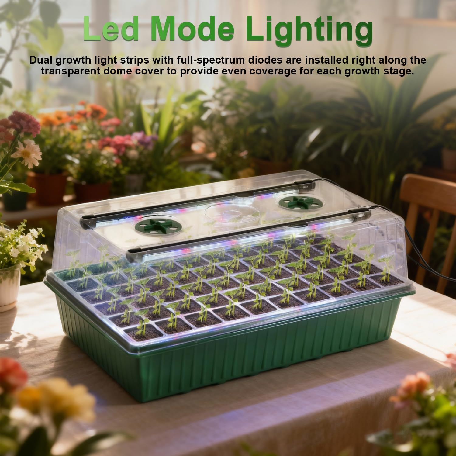 TONYFUL Seed Starter Tray with Grow Light, 120-Cell Seed Starter Kit with 4.07” Humidity Dome, Indoor Seedling Starter