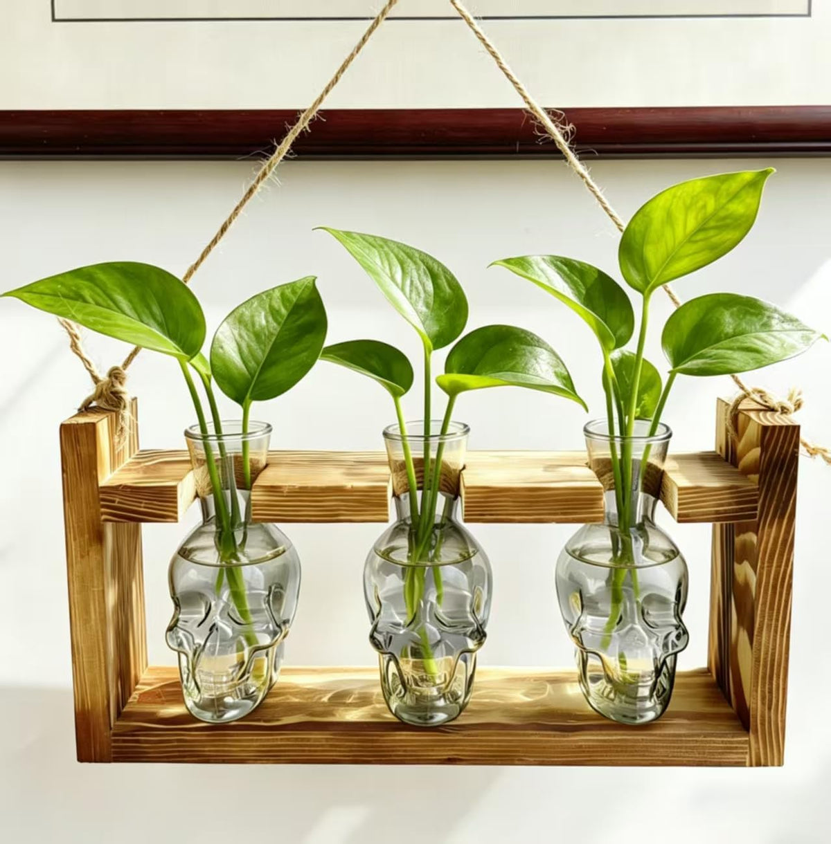 Bunmery 6 pcs Window Propagation Stations, Easy to Install Plant Propagation Bulbs with Suckion Cups, No Nails Wall Hanging Planter Propagation Station, Glass Plant Terrarium Vase