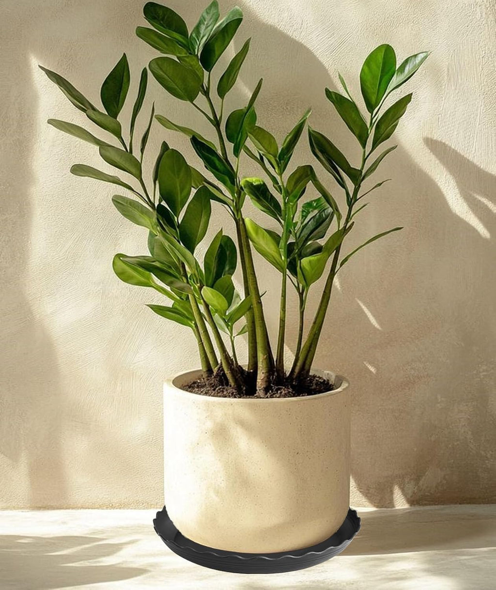4 Pack of 14 inch Plant Saucer, Plastic Plant Saucer 14 inch, Heavy Duty Plant Tray for Pots, Plant Saucers for Indoors