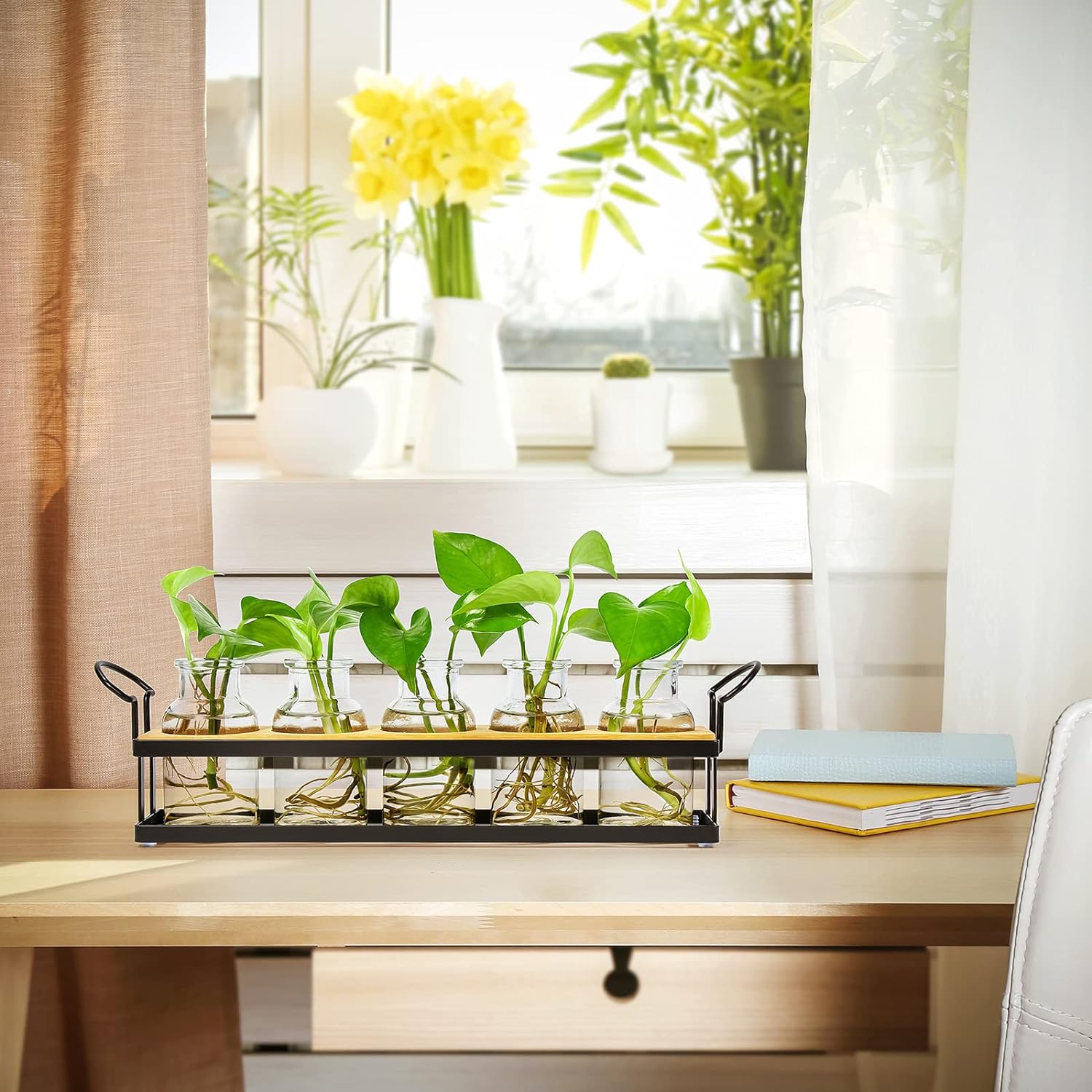 Plant Propagation Station with 5 Glass Jars, Retro Hydroponic Planter Vase | Propagation Jars with Metal Stand, Desktop