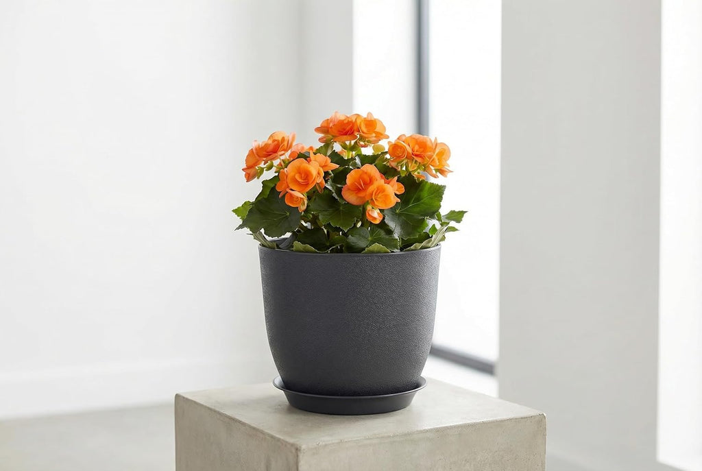 8 Inch Plant Pots Set of 4, Plastic Planters with Drainage Holes and Tray, Flower Pots for Indoor Outdoor Plants and