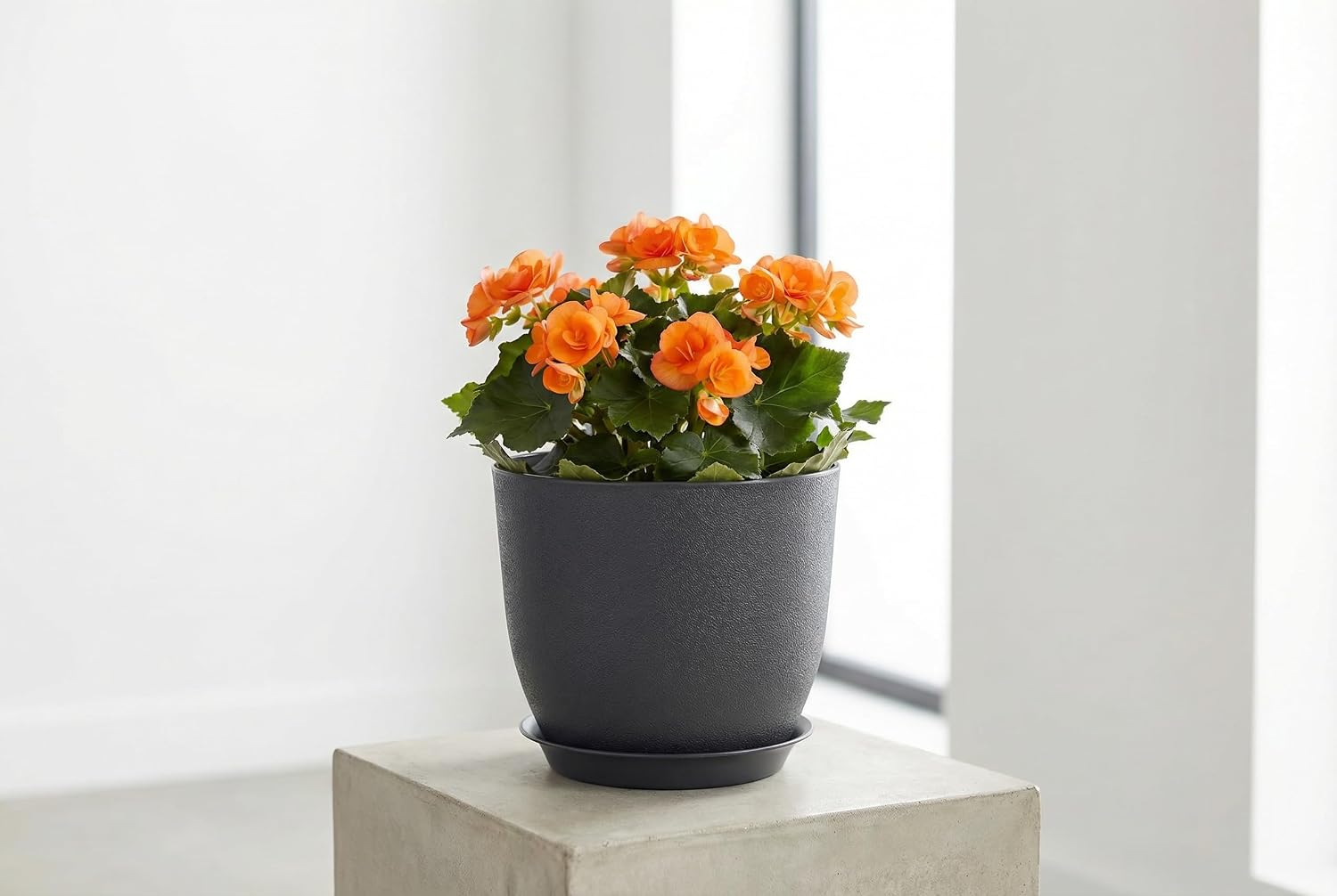8 Inch Plant Pots Set of 4, Plastic Planters with Drainage Holes and Tray, Flower Pots for Indoor Outdoor Plants and