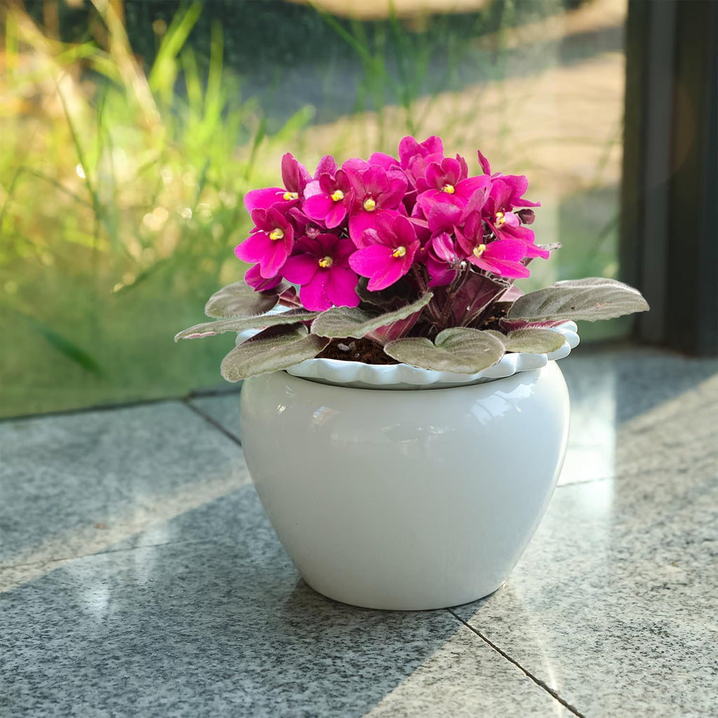 African Violet Flower Pot Ceramic Self Watering Flower Pot 6.5 * 4.6 * 4 inch Simple Plant Self Watering Pot Indoor