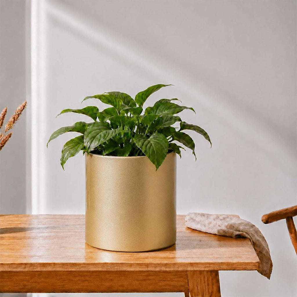Gold Metal Plant Pot with Drainage Hole, 7 Inch Mid Century Modern Small Pot Indoor Outdoor Planters for Succulents