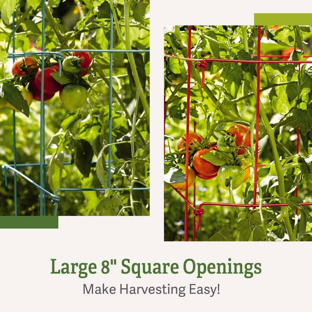 Gardener’s Supply Company Extra Tall Heavy-Guage Square Tomato Cages | Easy Fold Plant Supports & Vegetable Garden