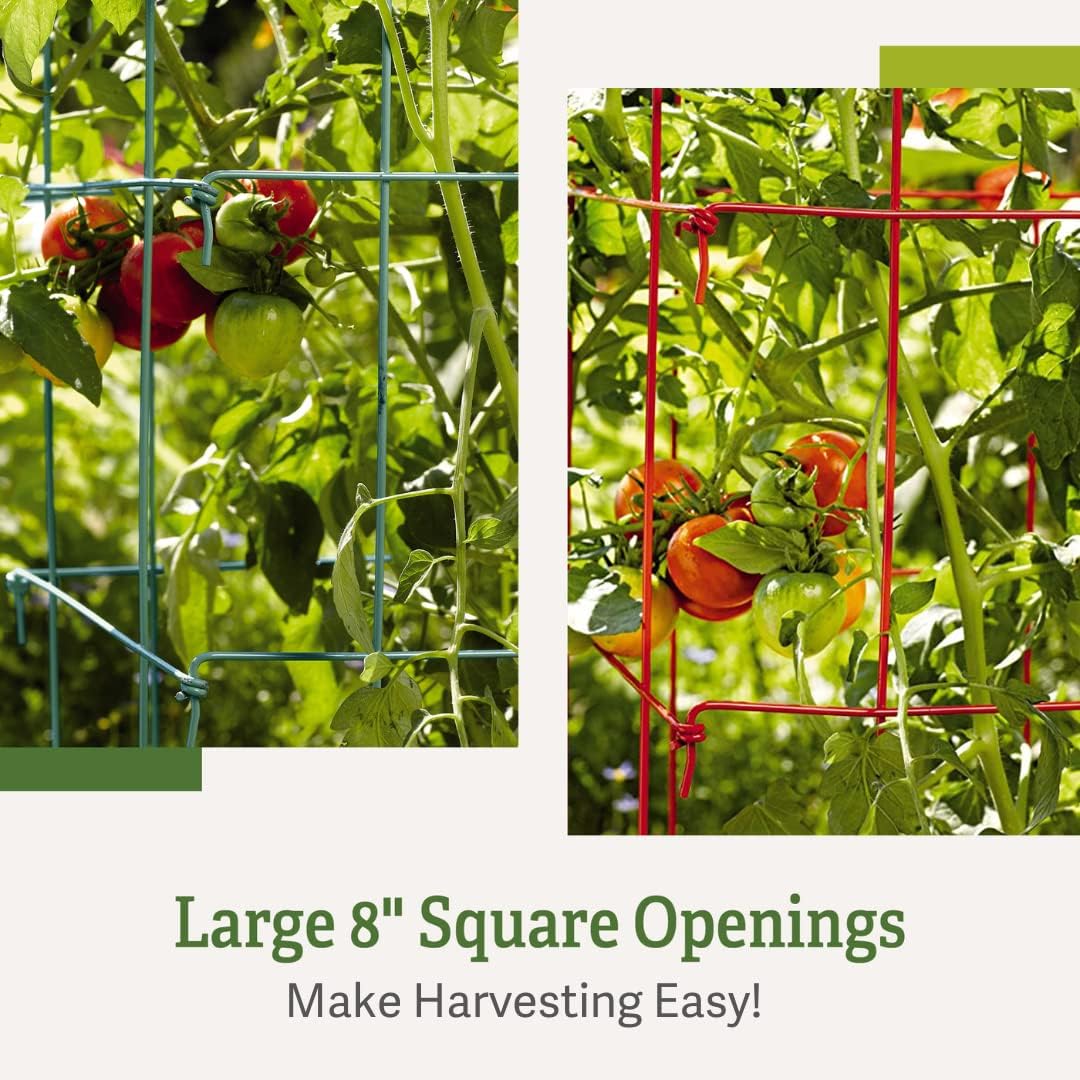 Gardener’s Supply Company Extra Tall Heavy-Guage Square Tomato Cages | Easy Fold Plant Supports & Vegetable Garden