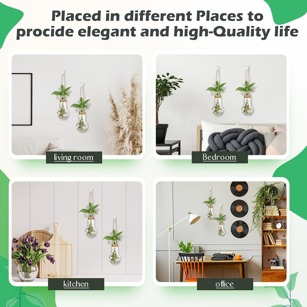 24 Pack Hanging Plant Propagation Stations 3.9 Inch Plastic Propagation Vases with Hooks and Cleaning Brush Clear