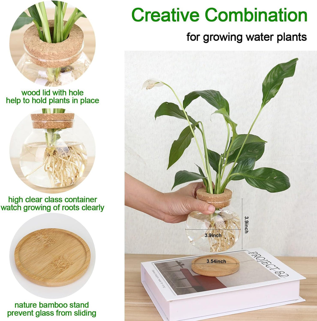Plant Propagation Station,Hydroponic Glass Container Vase Jars, with Wooden Saucer for Desks, Houses, Garden