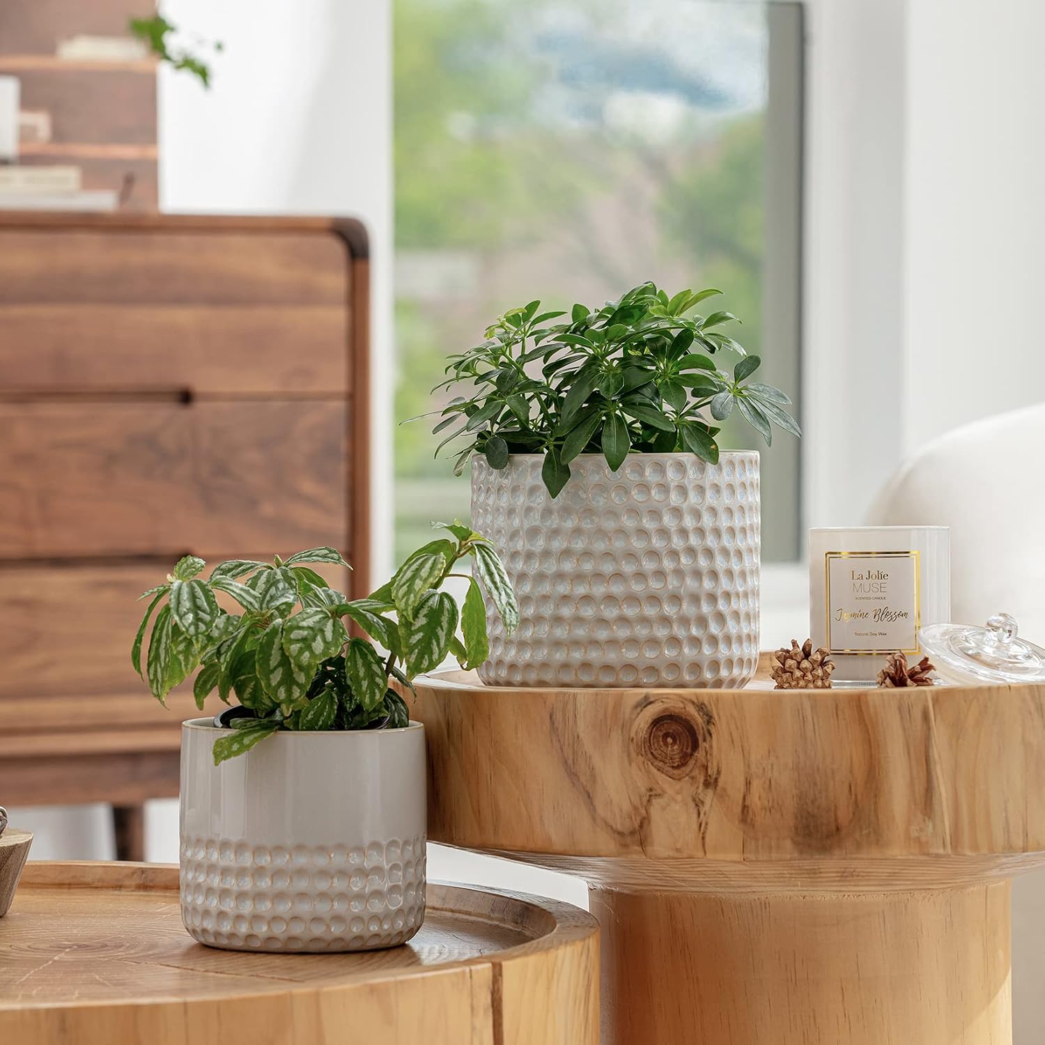 La Jolie Muse Ceramic Planter - 6.7+5.5 Inch Concave Dot Patterned Cylinder Flower Pot W/Drain Hole for Indoor, Set of