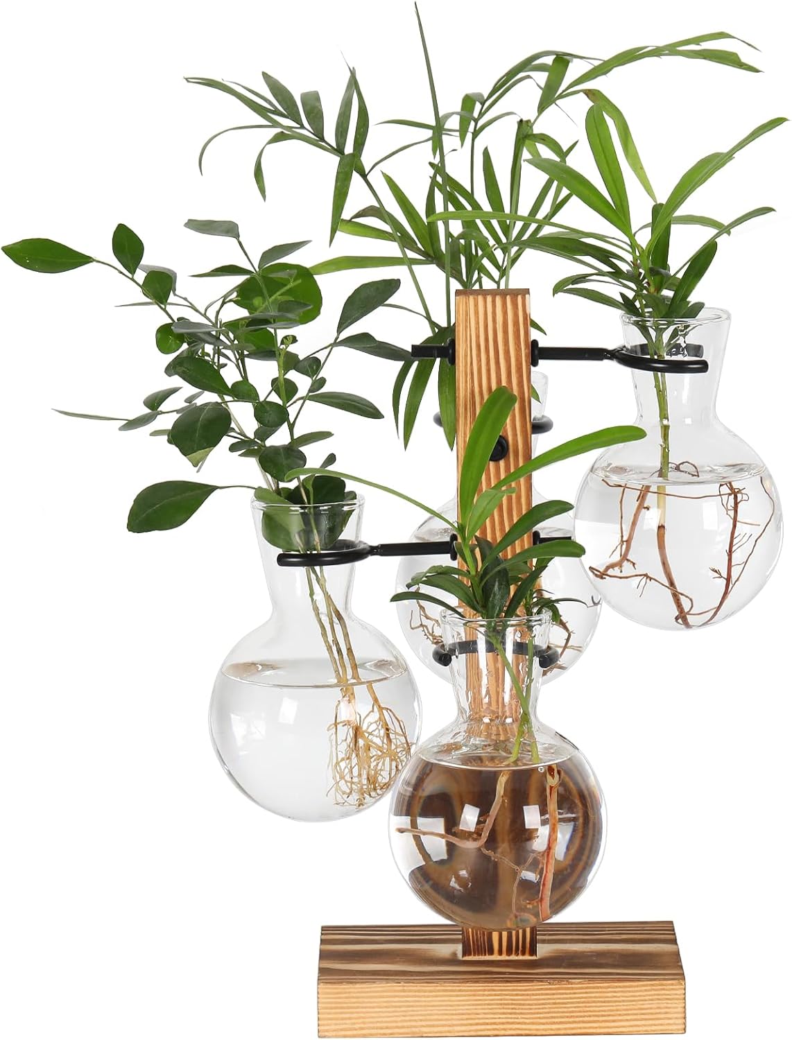 Plant Propagation Station with 4 Glass Vases & Wood Stand, Hydroponic Air Planter for Indoor Plants, Unique Gardening