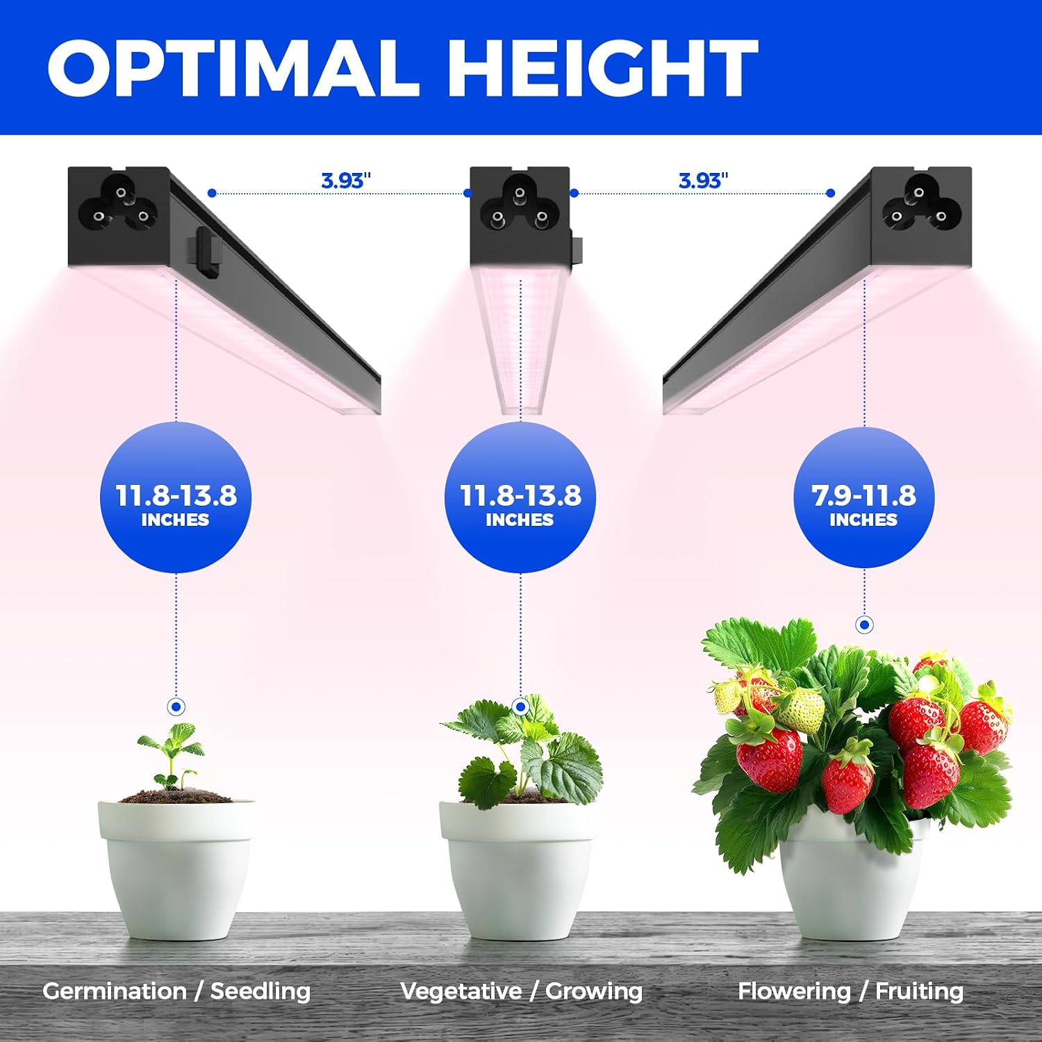 Barrina T5 LED Grow Lights Strip, 1FT Full Spectrum, Black Cover, 4 Packs | Linkable, Magnetic Mount, Under Cabinet