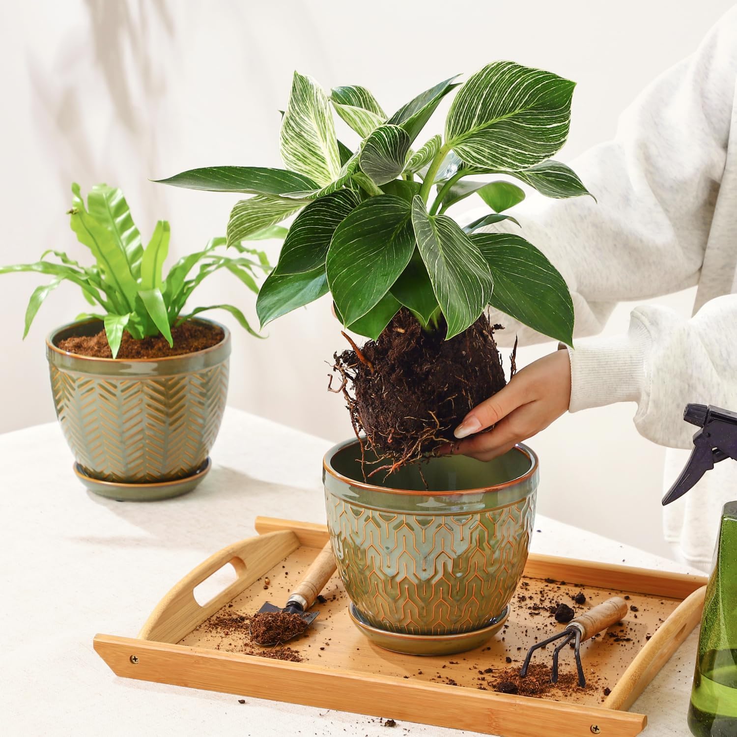 Sureasy 6.5 Inch Ceramic Plant Pots, Embossed Decorative Planters with Drainage Hole and Saucer, Modern Flower Pots for