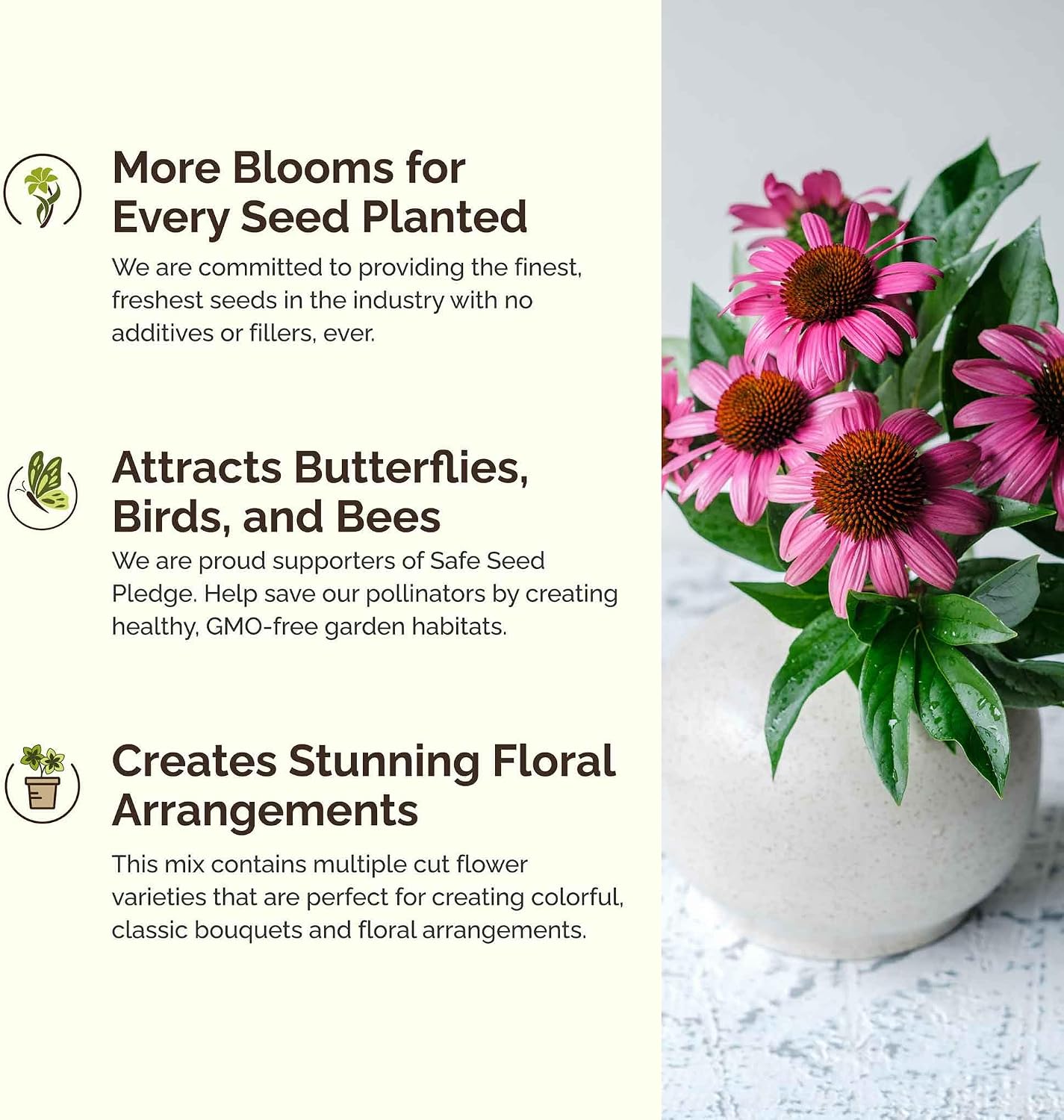 Eden Brothers The Bees Knees Pollinator Wildflower Seed Mix, 1 lb | (543,000+ Seeds), Throw and Grow, 100% Pure, No