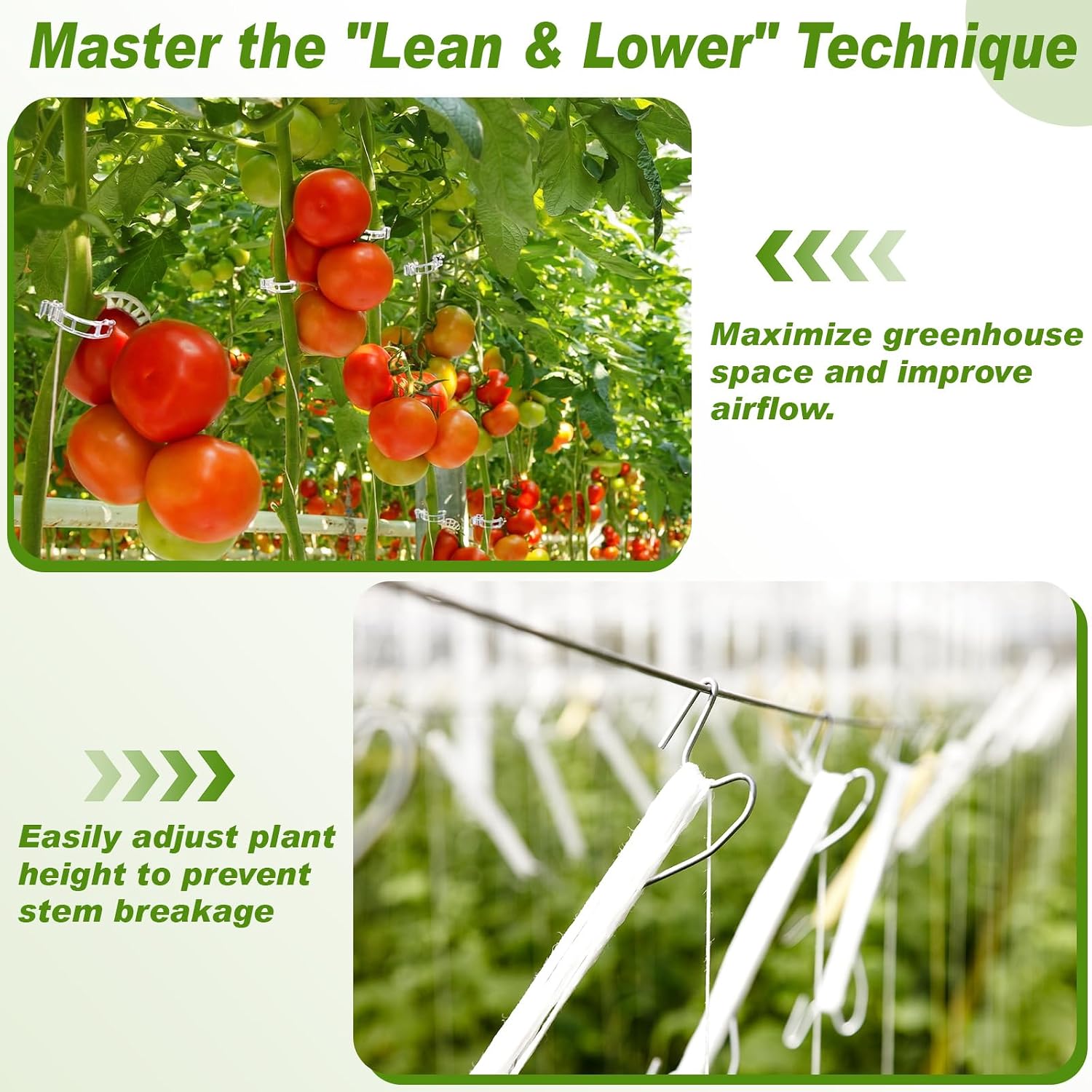 Hushee 100 Pack Tomato Hooks with 200 Garden Clips & 32.8ft String, Tomato Hooks for Climbing Plants, Heavy Duty Plant