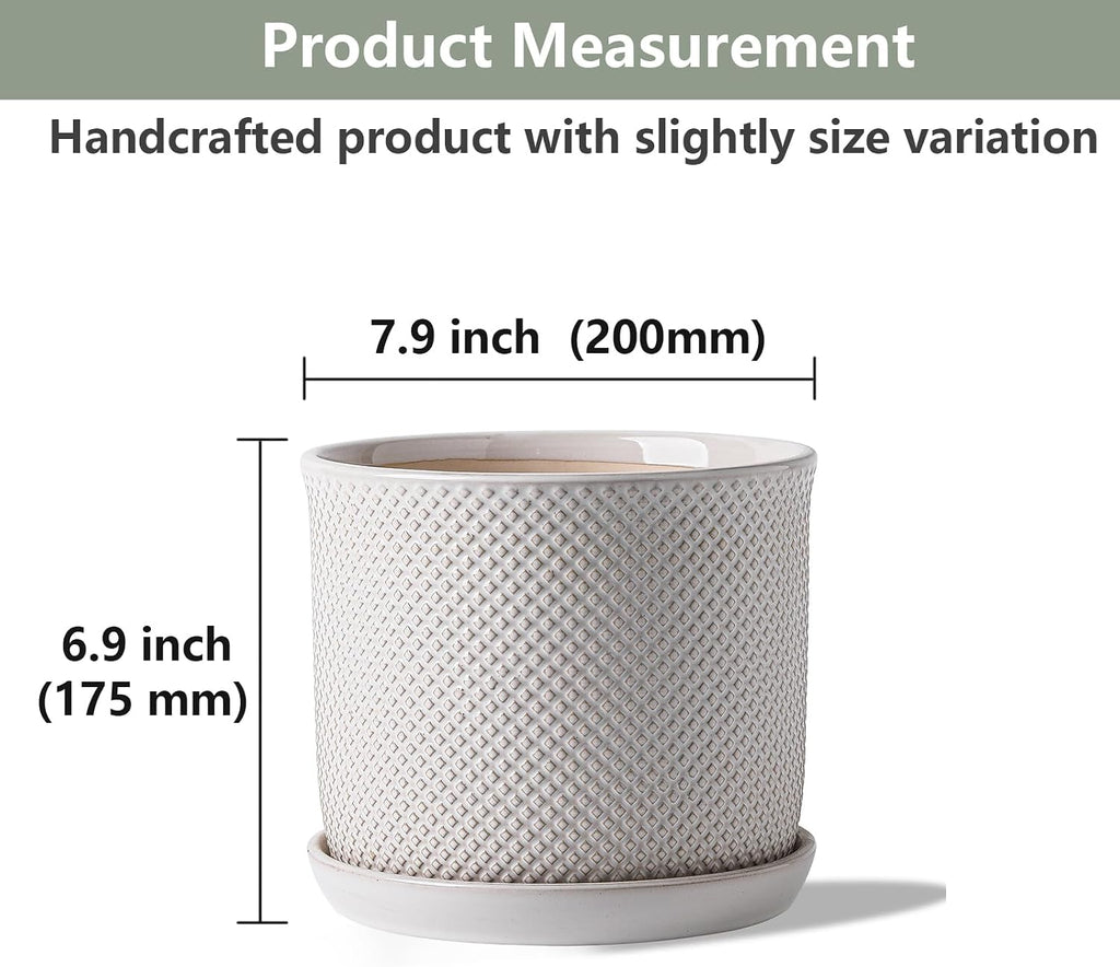 8 Inch Plant Pot: Ceramic Planter with Drainage Hole & Saucer Indoor Outdoor Plants - Flowerpot with Bonded Tray for