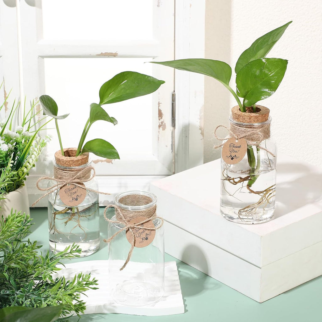 24 Pack 4.84'' Plastic Plant Propagation Stations with Hole Lid Planter Vase Clear Propagation Jars with Thank You Tags