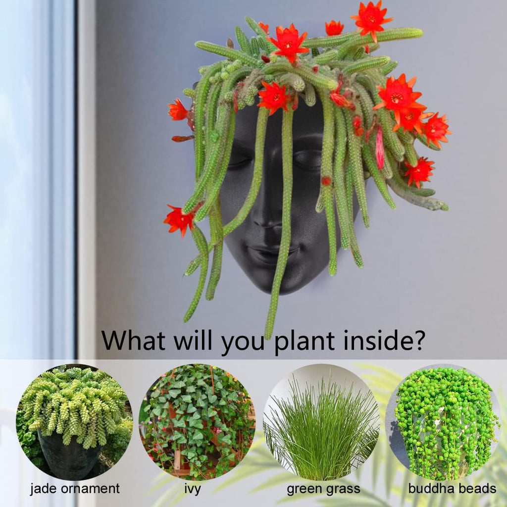 Modern Hanging Plant Holder Wall Planters for Indoor Plants, Multifunctional Wall Plant Holders and Hanging Planters