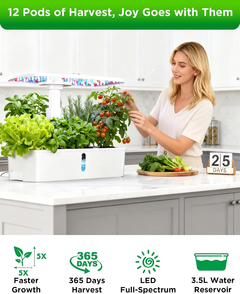 Hydroponics Growing System Kit 12 Pods, Indoor Garden with LED Grow Light | Hydroponic Herb Garden Kit Indoor with 24W