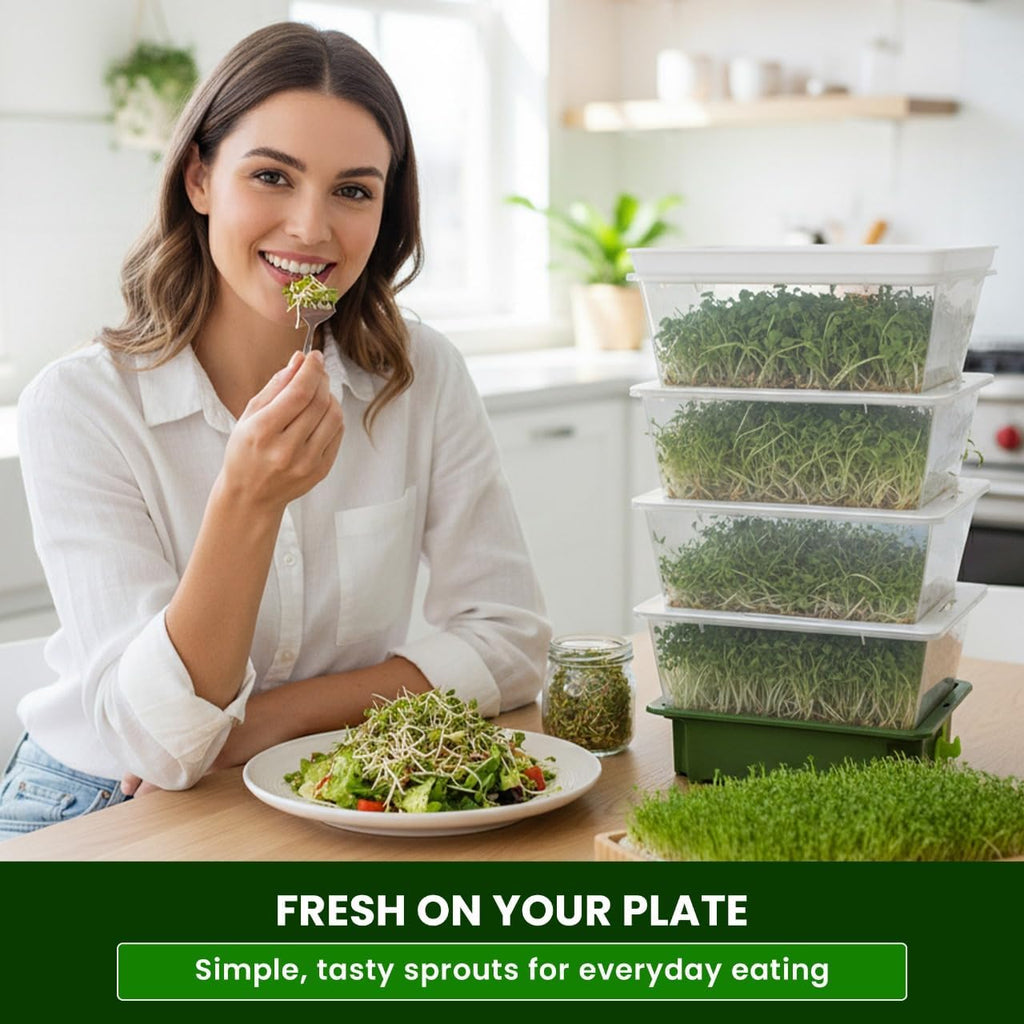 Sprouting Trays - 4-Tier Seed Sprouter with Drain Spout | 4 BPA-free stackable trays with a drain spout for easy home