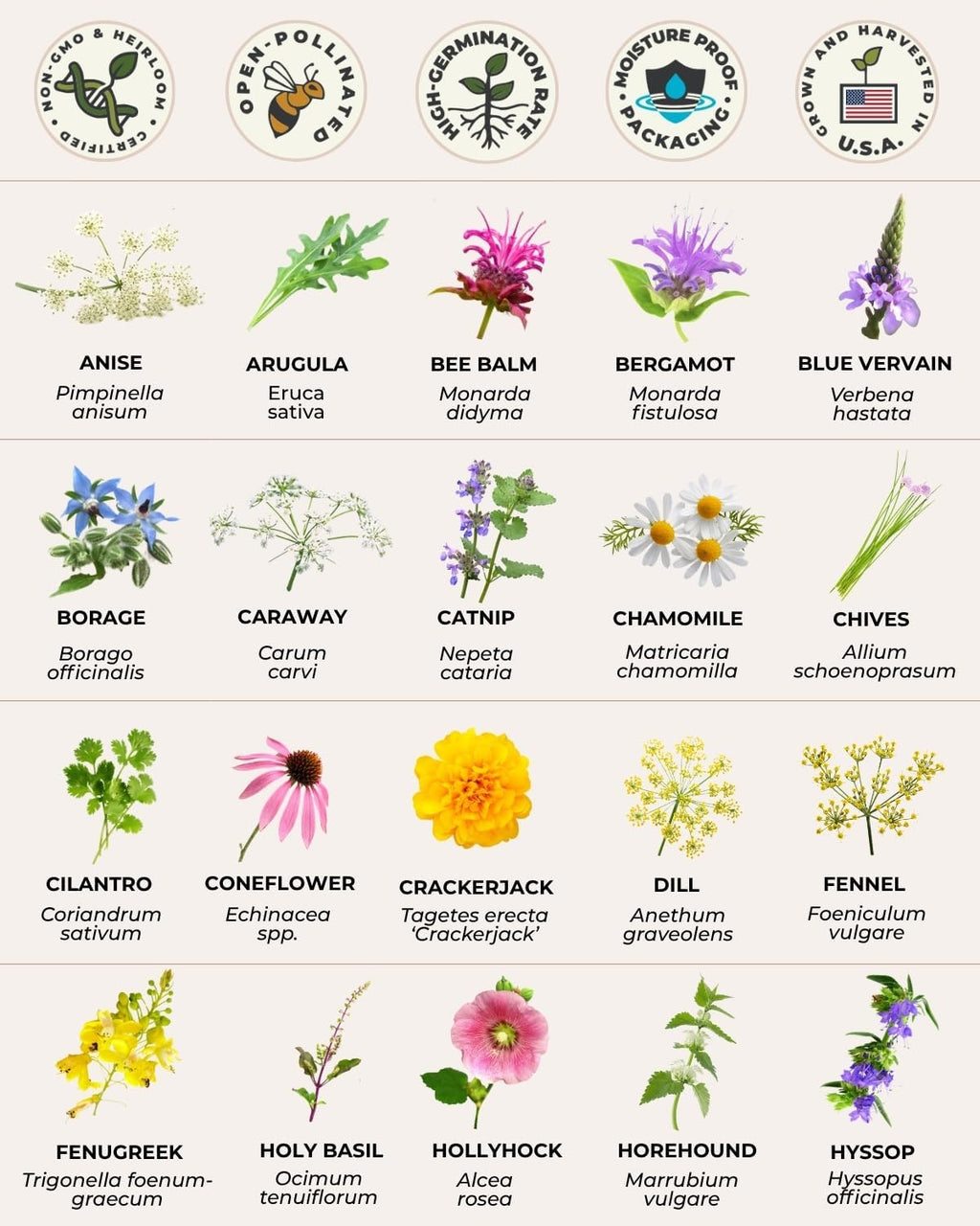 Tactiko Medicinal & Tea Herb Seeds Kit | 40 Varieties | Non-GMO | US Grown