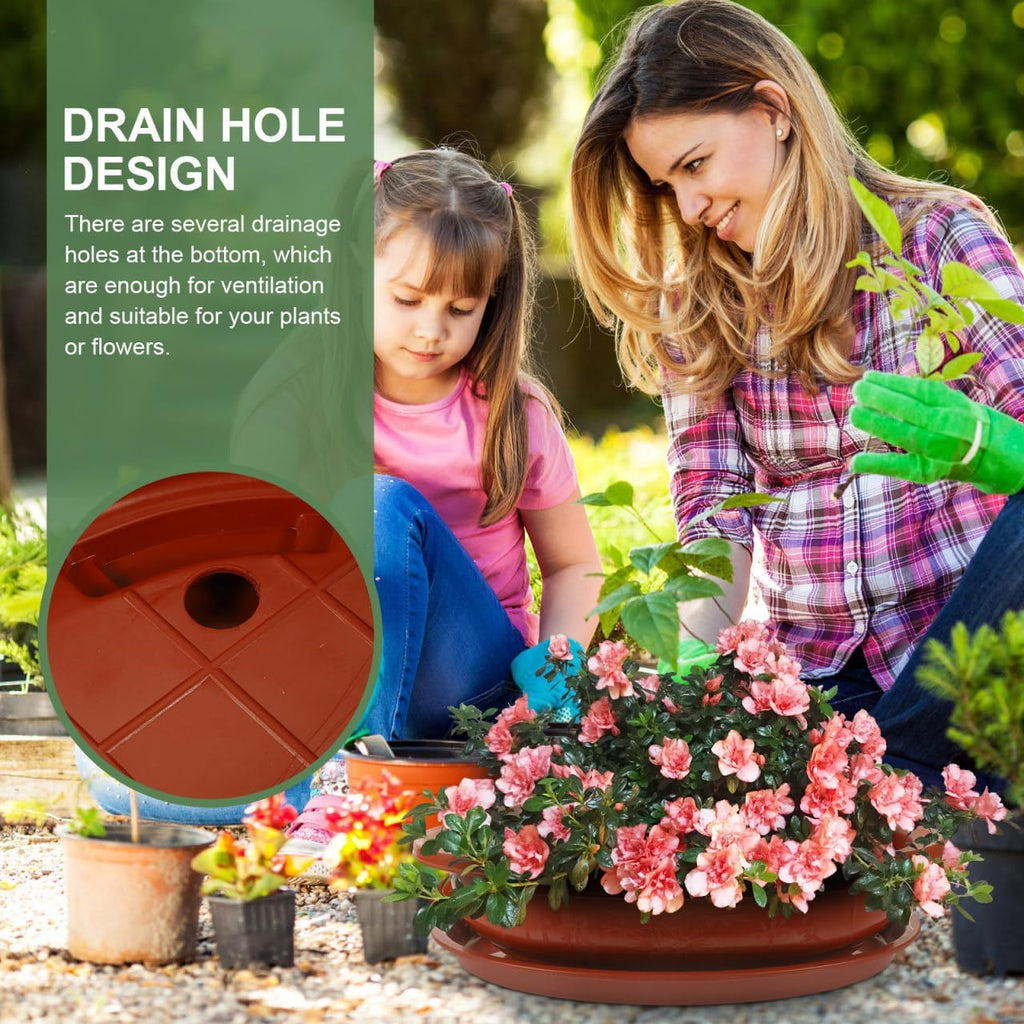DOITOOL Bonsai Training Pots with Drainage Tray, 17 Inch Oval Bonsai Planter Pot Plastic Plants Growing Tree s Flower