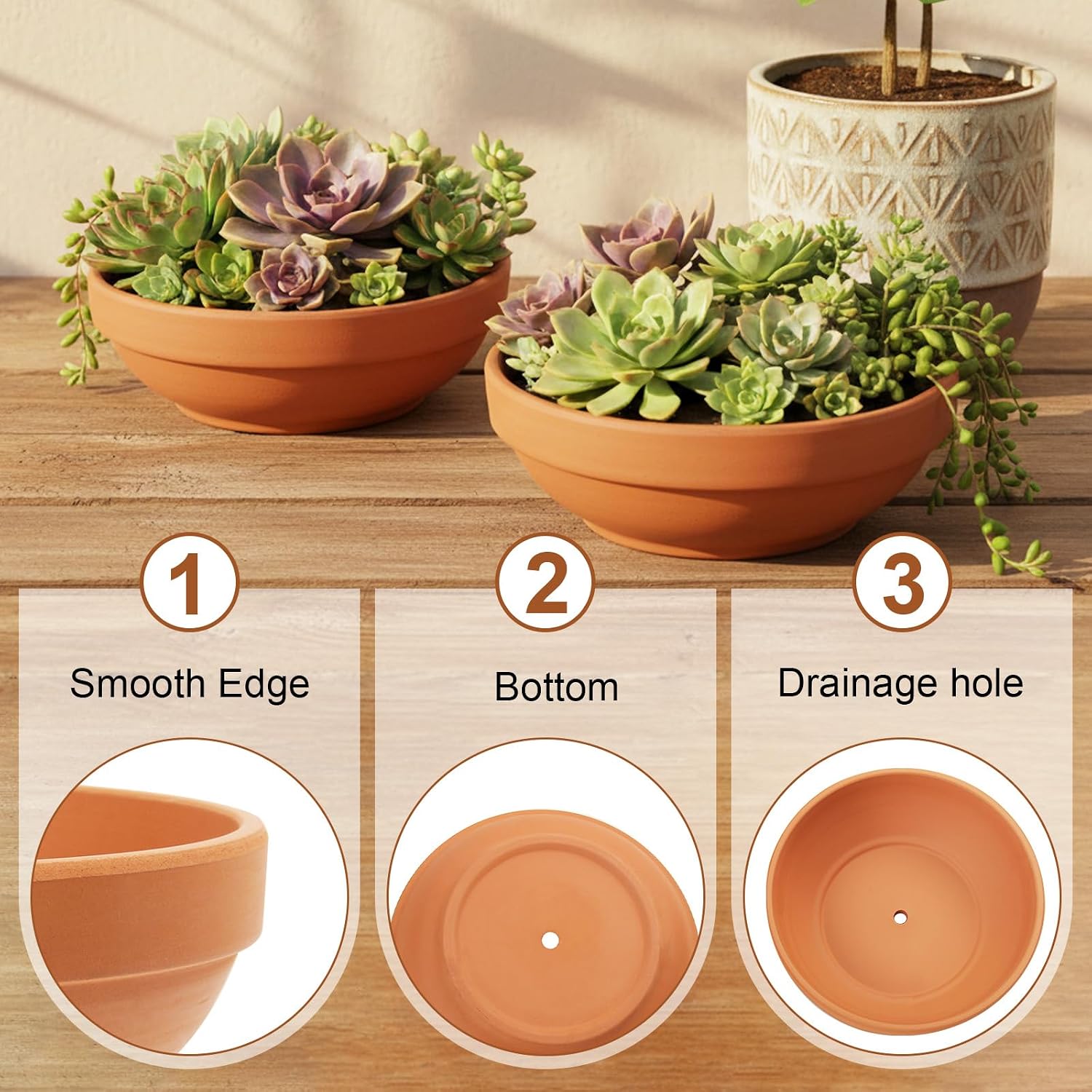 Laerjin Terracotta Pots with Drainage Holes, Large 2 Pack, 8.66 Inch | Ideal for gardeners growing cactus, succulents