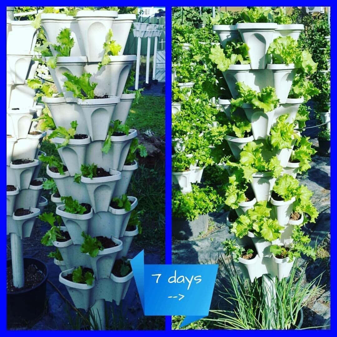 Mr. Stacky© 5-Tier 13 inch Wide - (Stone Color) Strawberry and Herb Garden Planter - Stackable Gardening Pots with 10