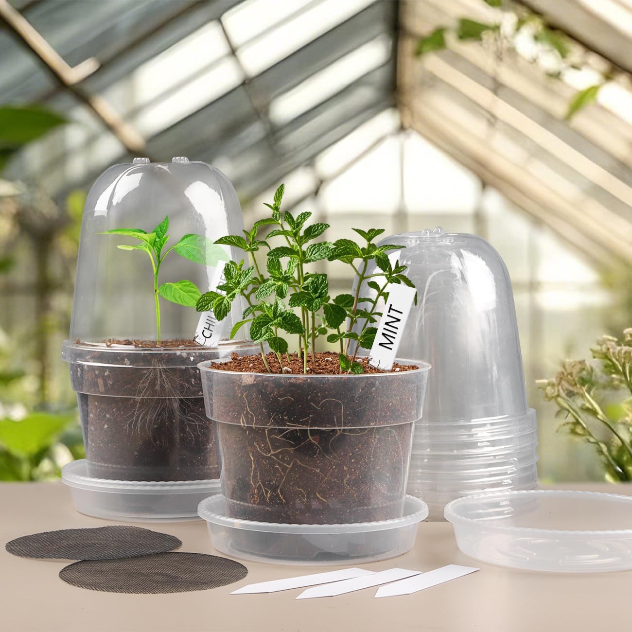BTPLASTIK 6 Inch Clear Nursery Pots with Humidity Domes 15 Pack, Transparent Plastic Plant Pot with Drainage Holes and
